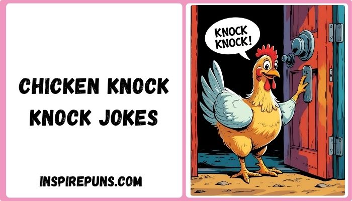 Chicken Knock Knock Jokes