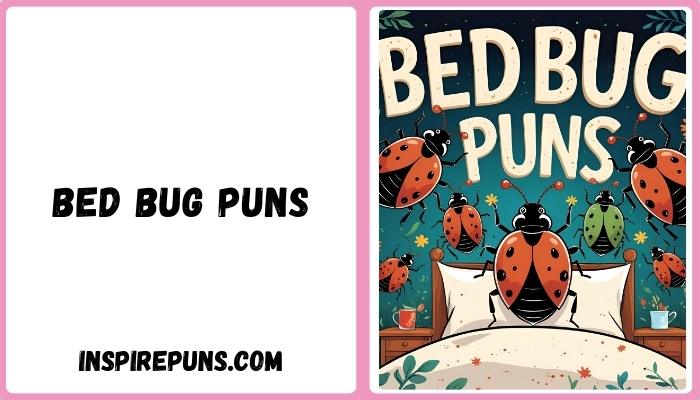 Bed Bug Puns