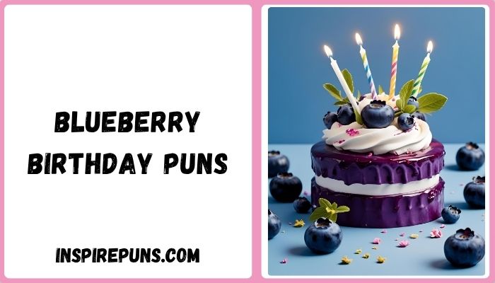 Blueberry Birthday Puns