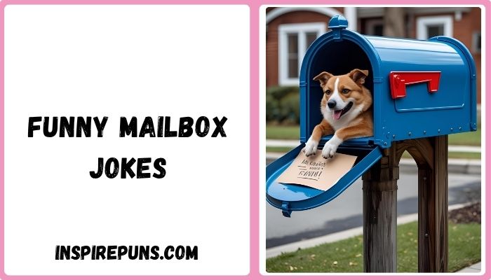 Funny Mailbox Jokes