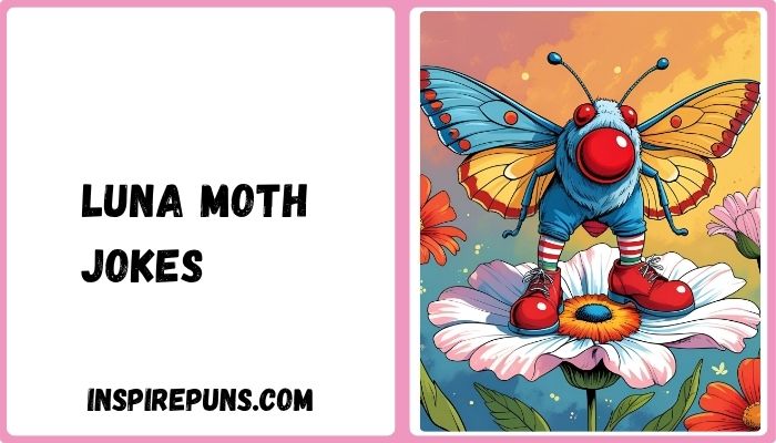 Luna Moth Jokes