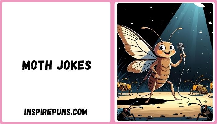 Moth Jokes