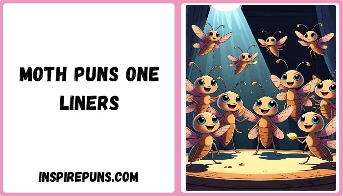 Moth Puns One Liners