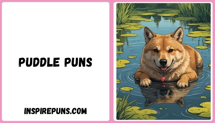 Puddle Puns