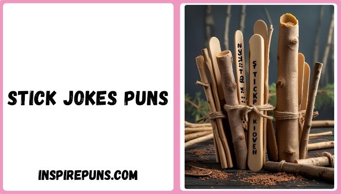 Stick Jokes Puns