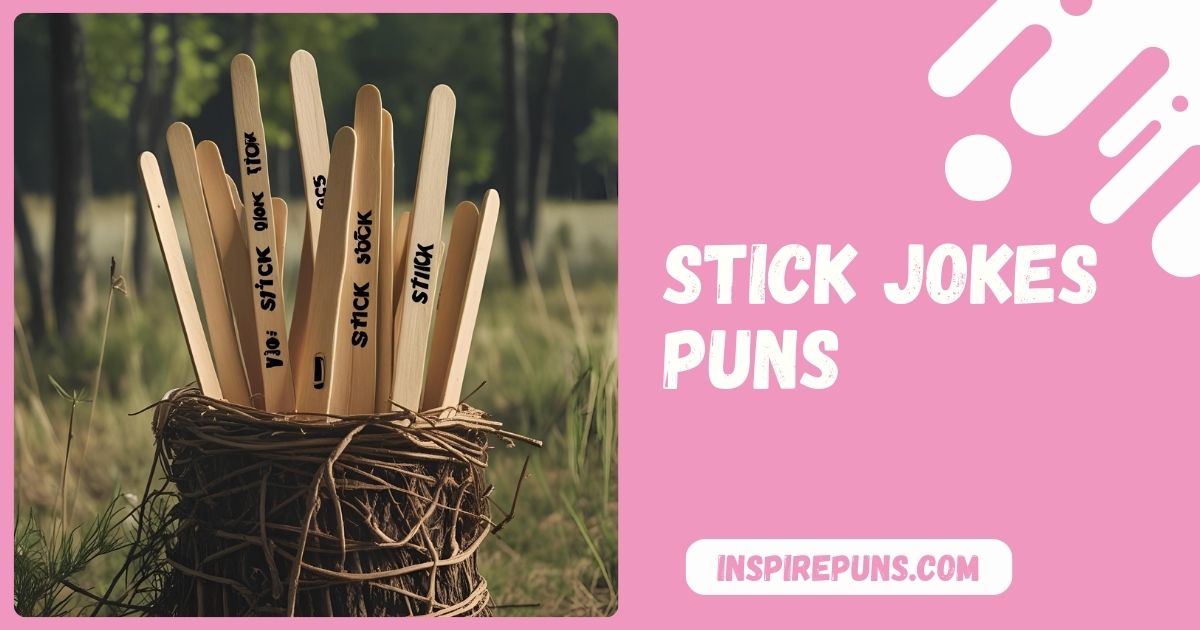 Stick Jokes Puns