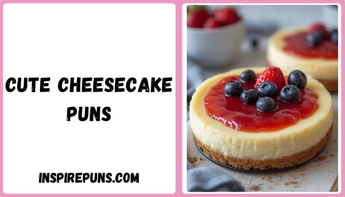 Cute Cheesecake Puns