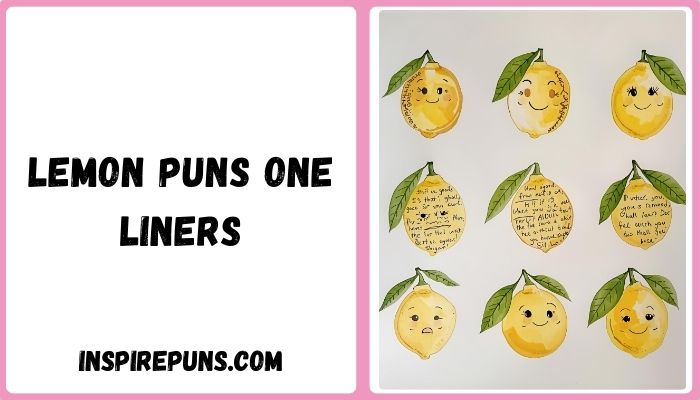 Lemon Puns One Liners