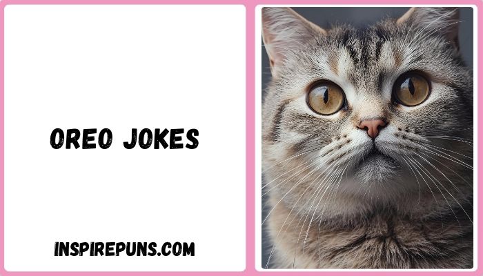 Oreo Jokes