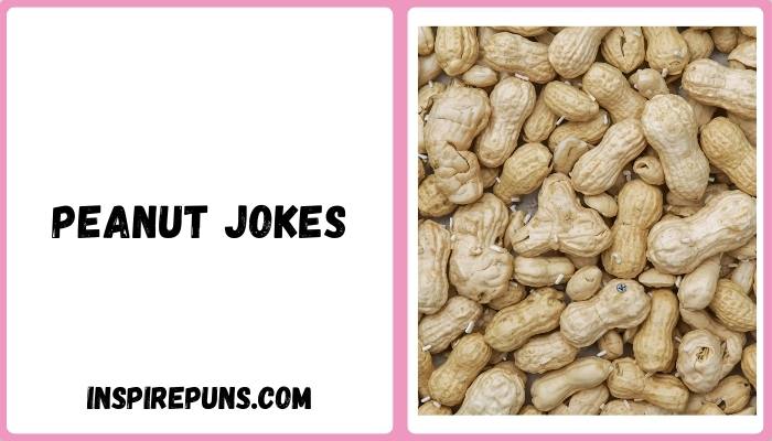 Peanut Jokes