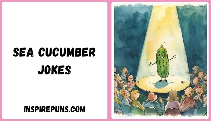 Sea Cucumber Jokes