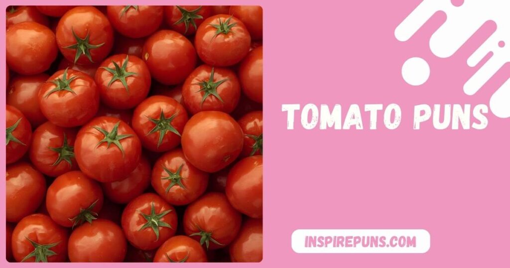 Tomato Puns Hilarious Juicy You Have to See!