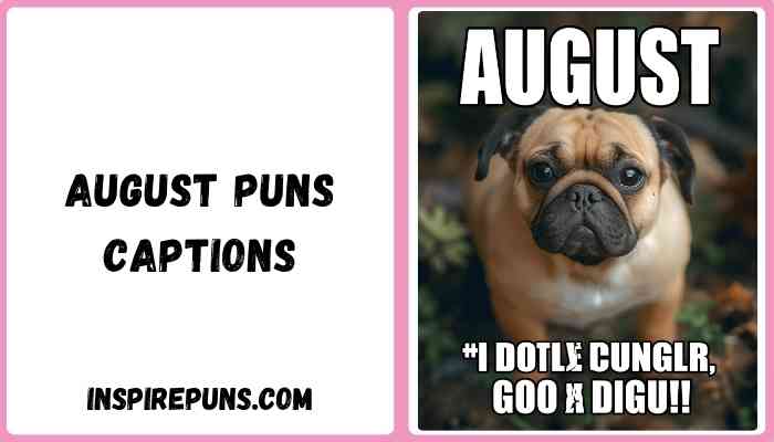 August puns captions