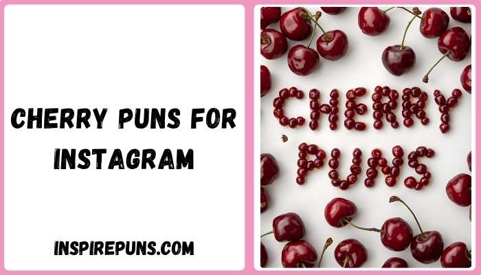 Cherry puns for Instagram