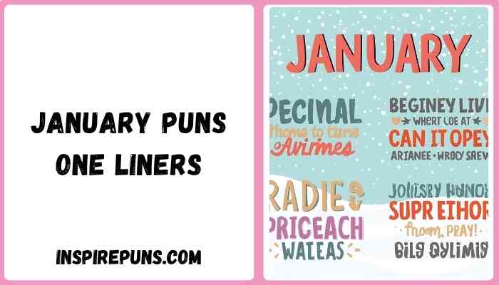 January puns one liners