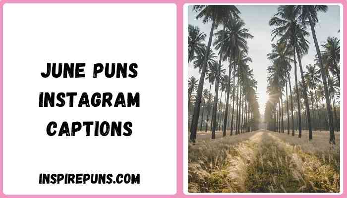June puns Instagram Captions