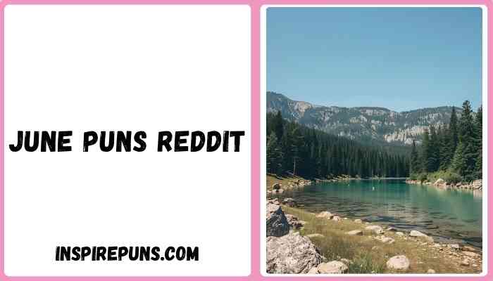 June puns reddit