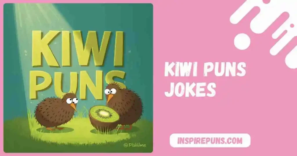 Kiwi Puns Jokes