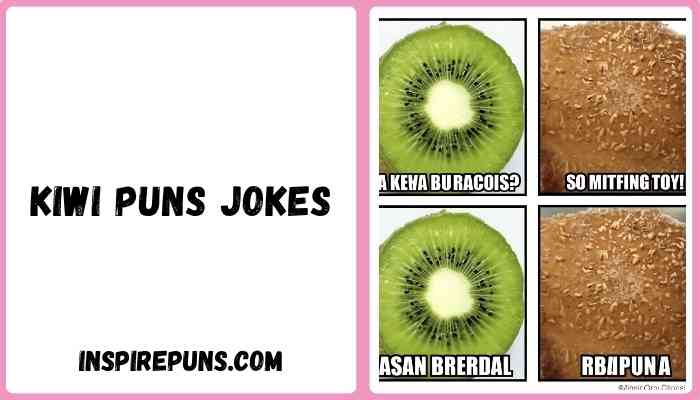 Kiwi Puns Jokes