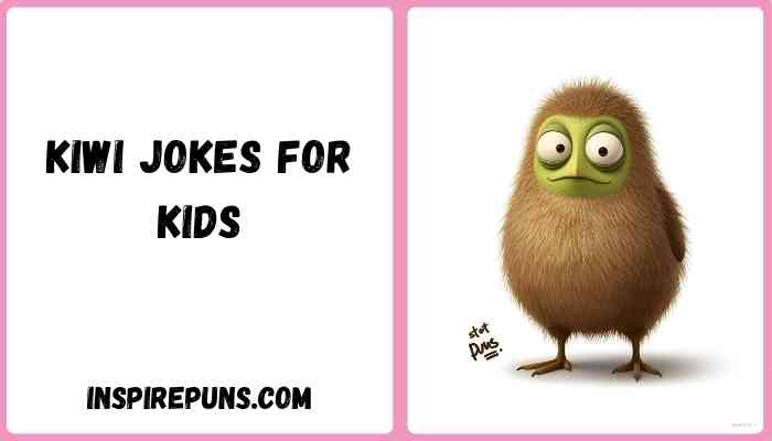 Kiwi jokes for kids