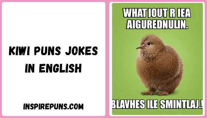 Kiwi puns jokes in english