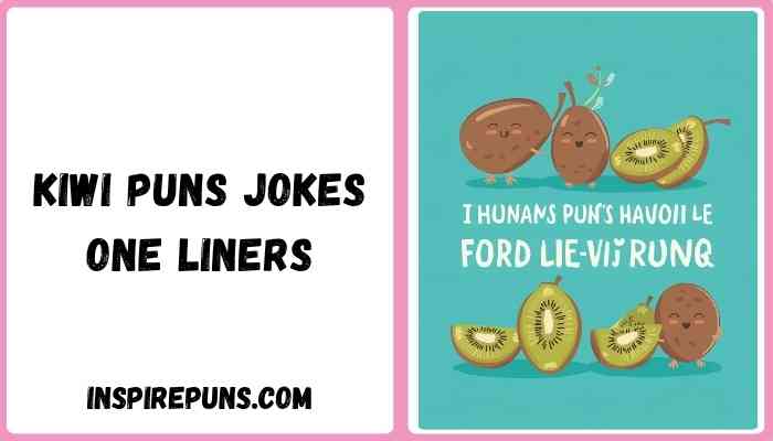 Kiwi puns jokes one liners