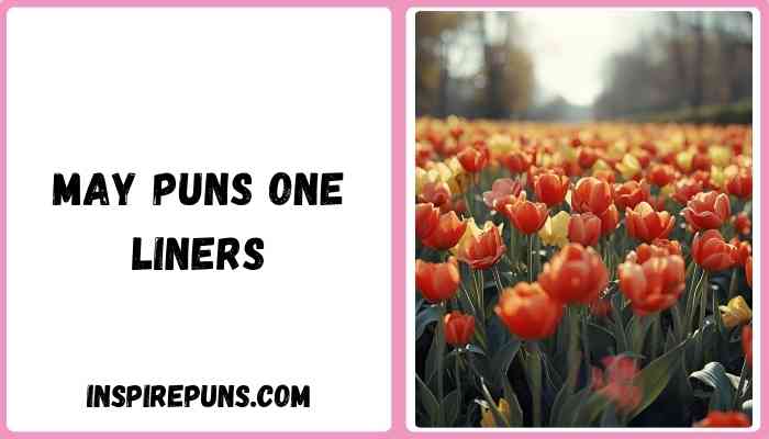 May puns one liners