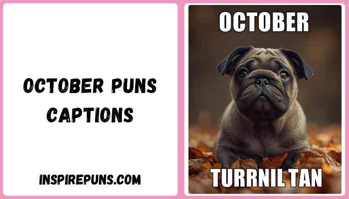 October puns captions