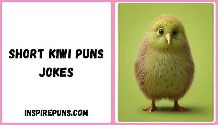 Short kiwi puns jokes