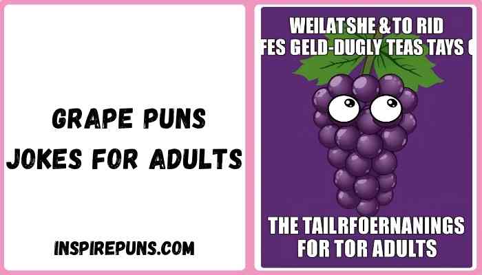  grape puns jokes for adults