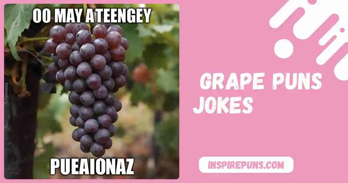 grape puns jokes