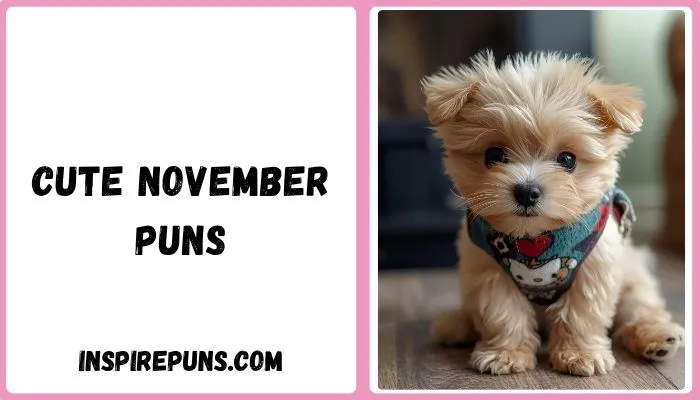 Cute November Puns