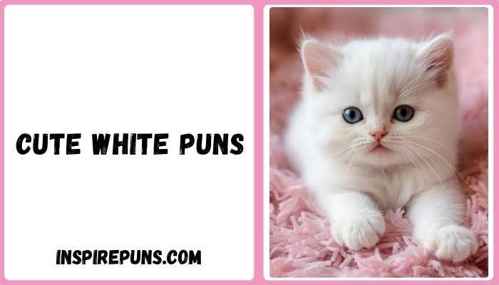 Cute white puns