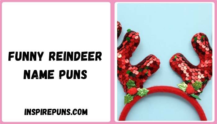 Funny Reindeer Name Puns