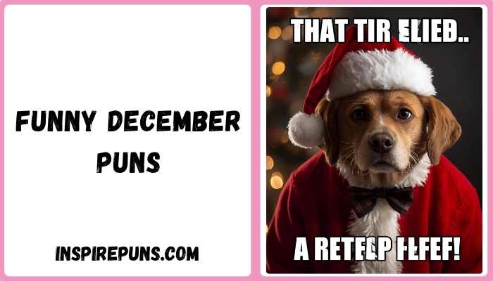 Funny december puns