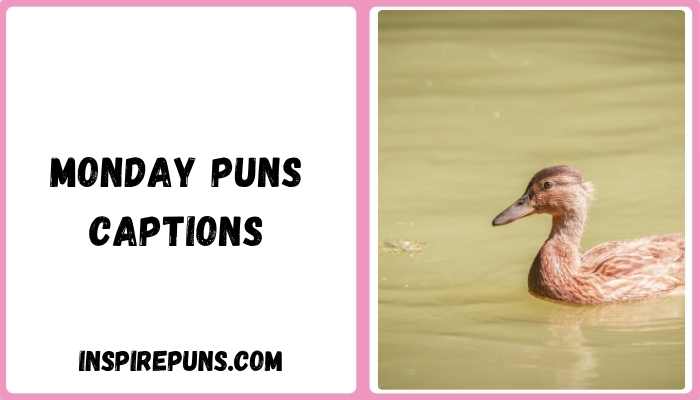 Monday puns captions