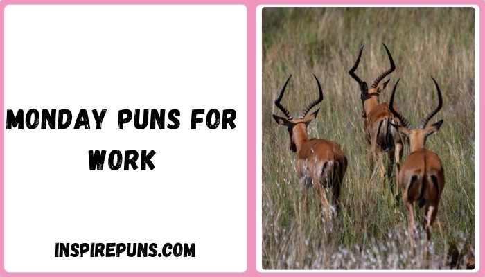 Monday puns for work