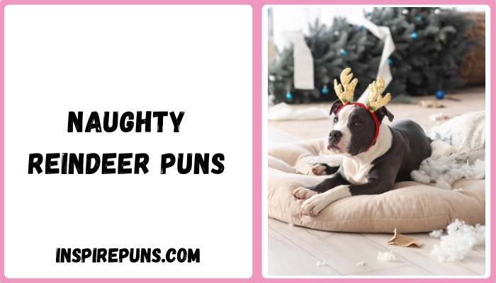 Naughty Reindeer Puns