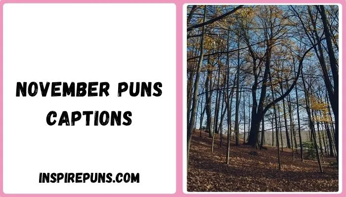 November Puns Captions