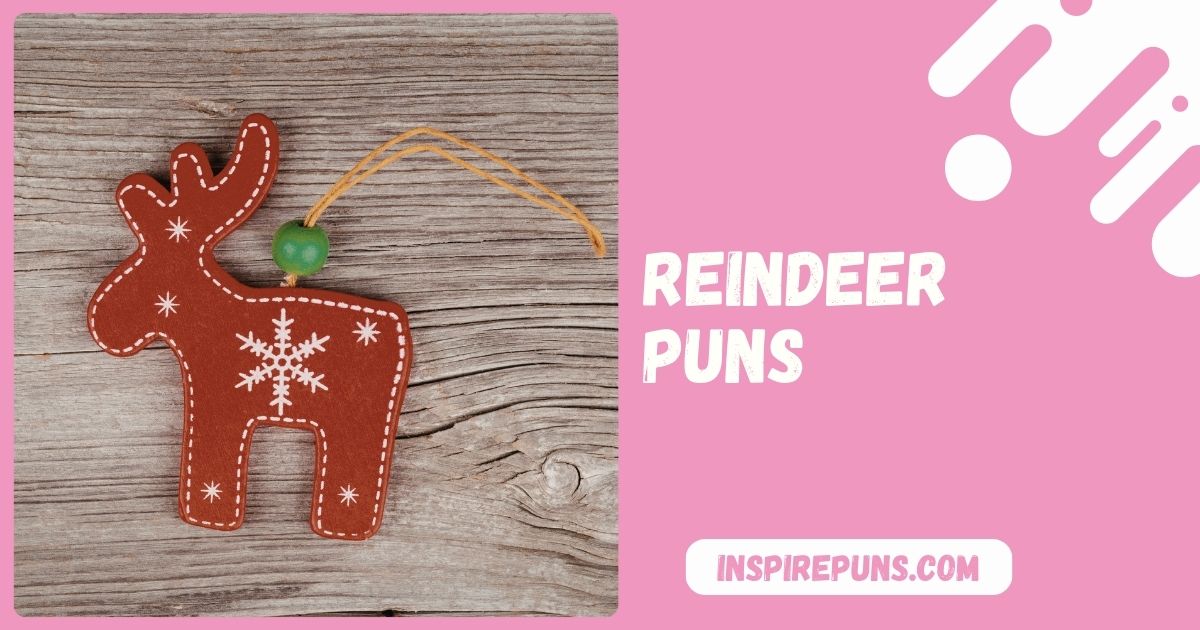150+ Reindeer Puns That Will Sleigh You Funny & Original