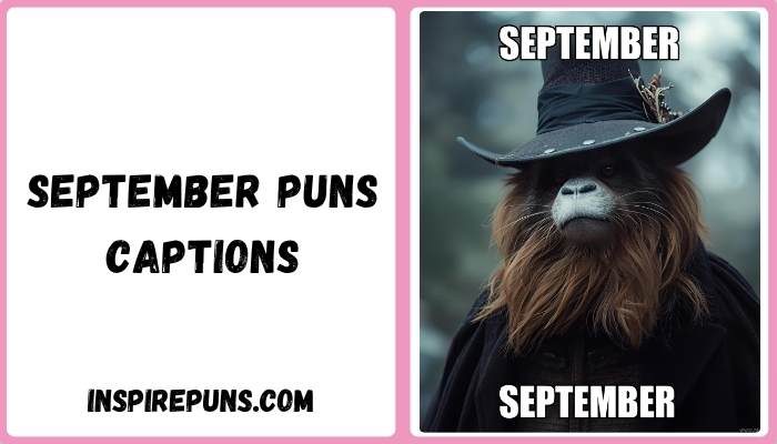 September puns captions