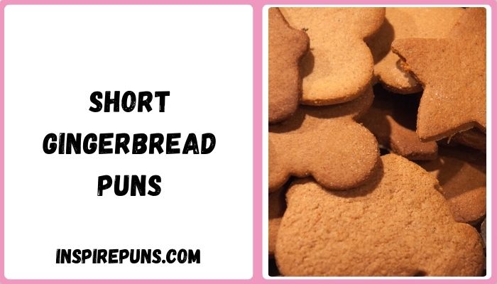 Short Gingerbread Puns 