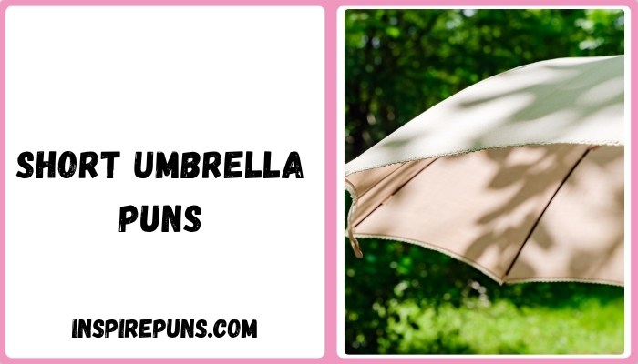 Short umbrella puns