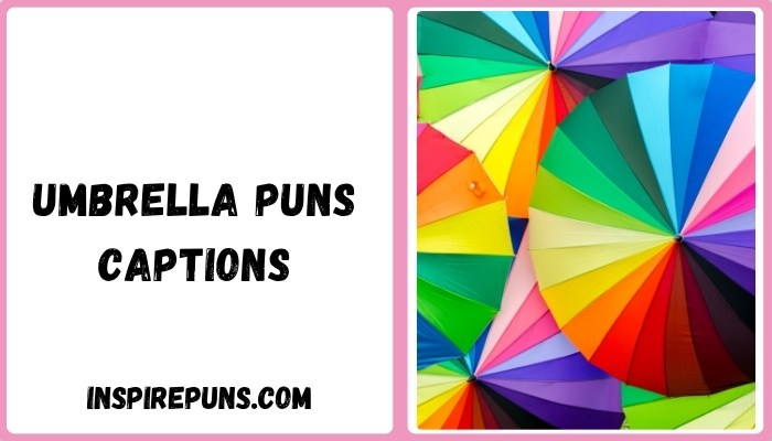 Umbrella Puns Captions