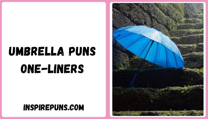 Umbrella Puns One-Liners