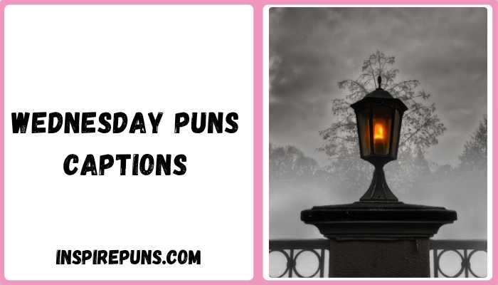 Wednesday puns captions