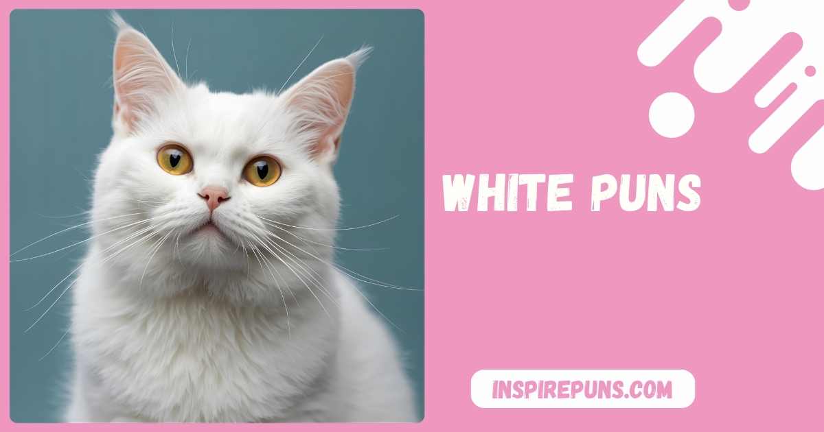 The Ultimate List of White Puns You Can’t Miss