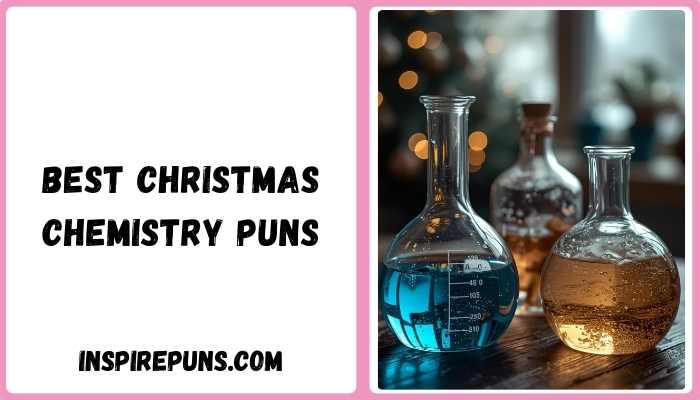 Best Christmas Chemistry Puns