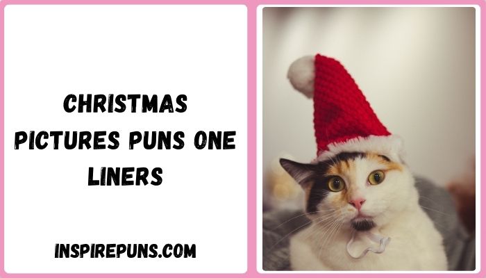 Christmas pictures puns one liners