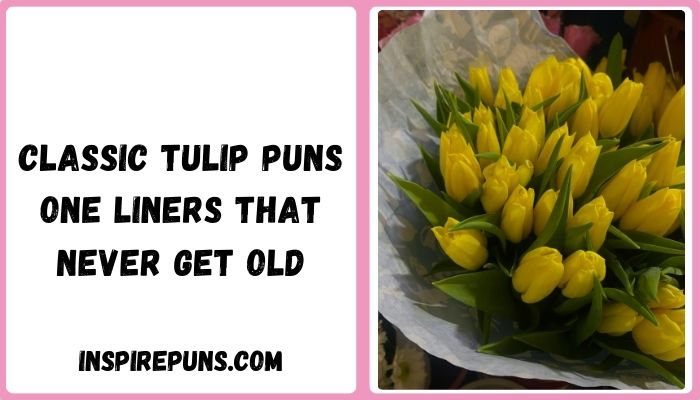 Classic Tulip Puns One Liners That Never Get Old